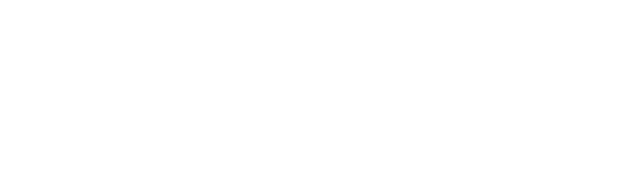 Promise-Group-Logo